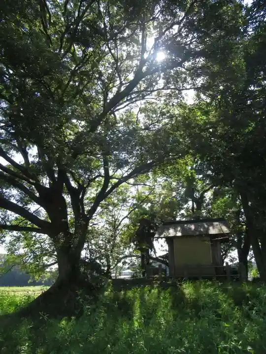神明神社(千葉県)