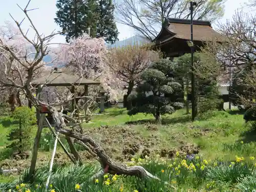 慈眼寺の自然