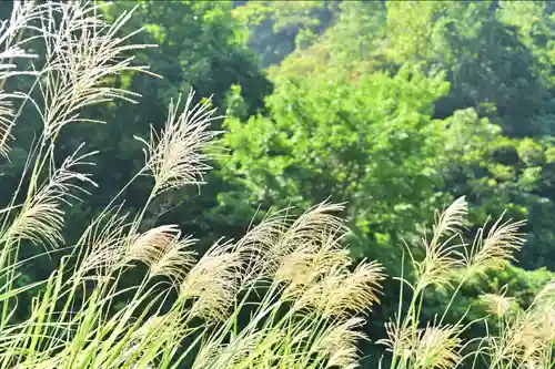 高龍神社　奥之院の景色