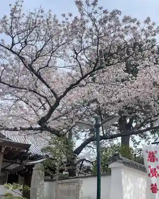 中山寺(兵庫県)
