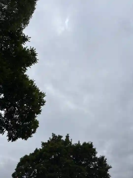 小戸神社の自然
