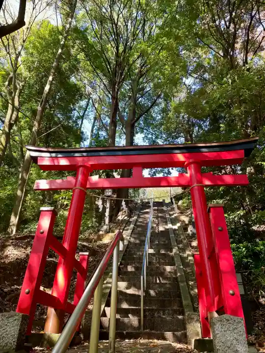 茅ヶ崎杉山神社(神奈川県)