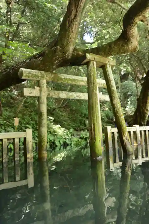 奥宮(鹿島神宮摂社)(茨城県)