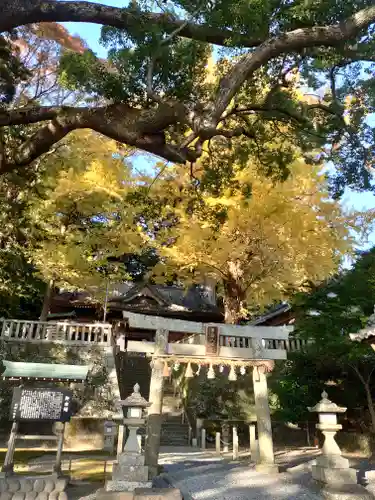 事任八幡宮の鳥居