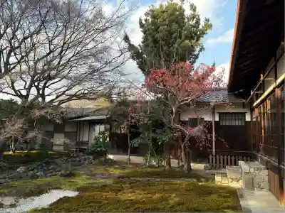 興聖寺(京都府)