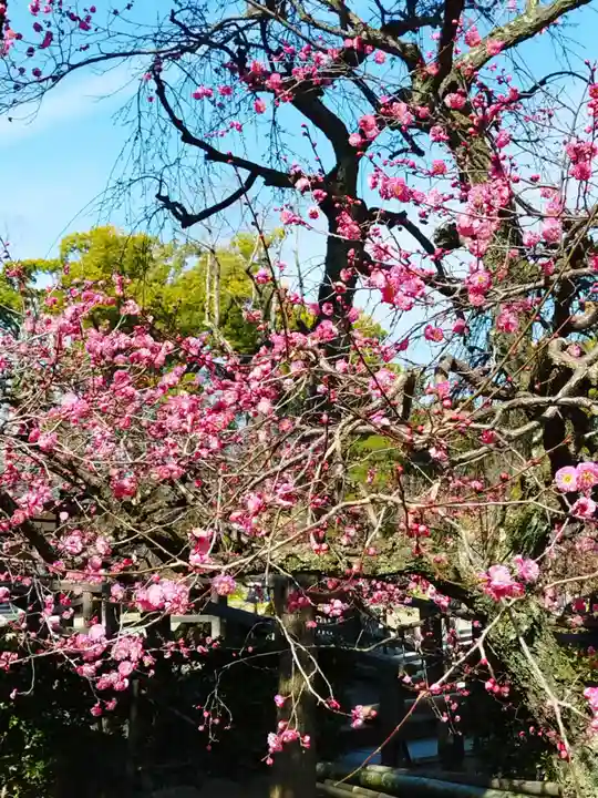 北野天満宮(京都府)