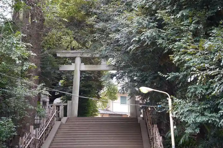渋谷氷川神社の鳥居