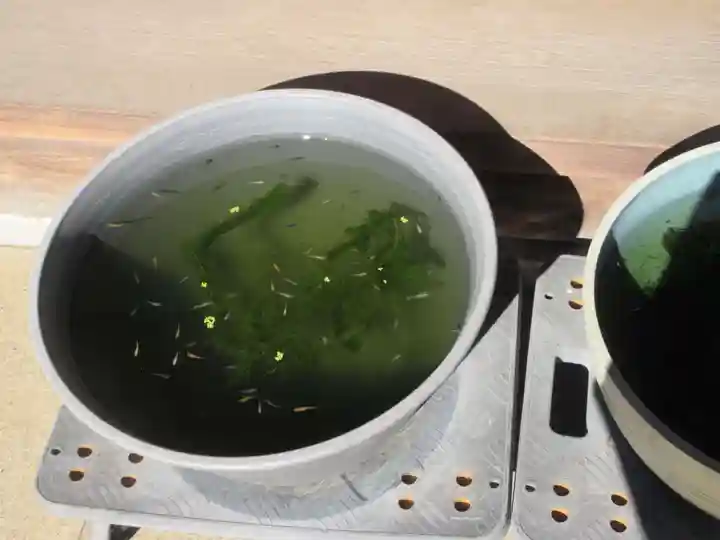 了俒寺(東京都)