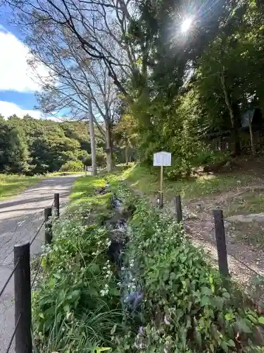 諏訪大社上社前宮(長野県)