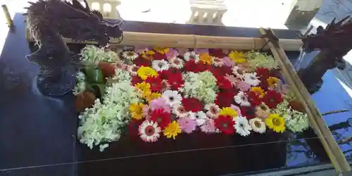 美幌神社の手水舎