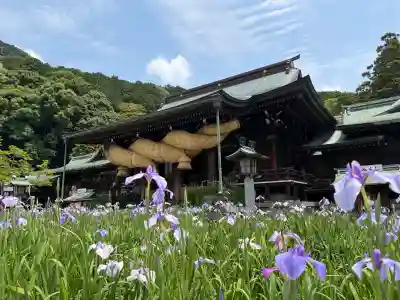 宮地嶽神社(福岡県)