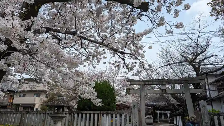 吒枳尼天(法伝寺)(京都府)