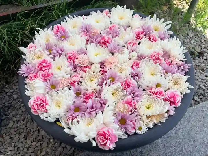 埼玉厄除け開運大師・龍泉寺(切り絵御朱印発祥の寺)の{uncategorized: "未分類", other: "その他", undefined: "問題あり", building: "その他建物", grave: "お墓", sacred_gate: "鳥居", guardian: "狛犬", statue: "像", buddha: "仏像", history: "歴史", nature: "自然", garden: "庭園", animal: "動物", pagoda: "塔", temizu: "手水舎", mountain_gate: "山門・神門", sanctuary: "本殿・本堂", subordinate: "末社・摂社", art: "芸術", scenery: "景色", jizo: "地蔵", ema: "絵馬", goshuin: "御朱印", omikuji: "おみくじ", items: "授与品その他", amulet: "お守り", goshuincho: "御朱印帳", eats: "食事", festival: "お祭り", votive_dance: "神楽", shichigosan: "七五三参", wedding: "結婚式", experience: "体験その他", initially: "初詣", around: "周辺", anti_infection: "感染症対策"}