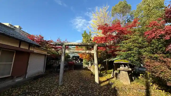 鸕鷀神社(京都府)