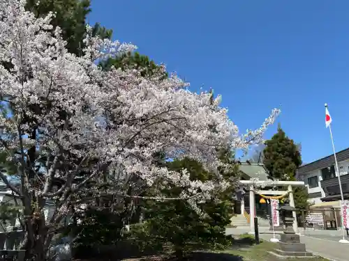 烈々布神社の{uncategorized: "未分類", other: "その他", undefined: "問題あり", building: "その他建物", grave: "お墓", sacred_gate: "鳥居", guardian: "狛犬", statue: "像", buddha: "仏像", history: "歴史", nature: "自然", garden: "庭園", animal: "動物", pagoda: "塔", temizu: "手水舎", mountain_gate: "山門・神門", sanctuary: "本殿・本堂", subordinate: "末社・摂社", art: "芸術", scenery: "景色", jizo: "地蔵", ema: "絵馬", goshuin: "御朱印", omikuji: "おみくじ", items: "授与品その他", amulet: "お守り", goshuincho: "御朱印帳", eats: "食事", festival: "お祭り", votive_dance: "神楽", shichigosan: "七五三参", wedding: "結婚式", experience: "体験その他", initially: "初詣", around: "周辺", anti_infection: "感染症対策"}