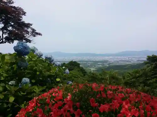 善峯寺の景色