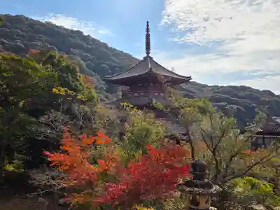 太山寺(兵庫県)