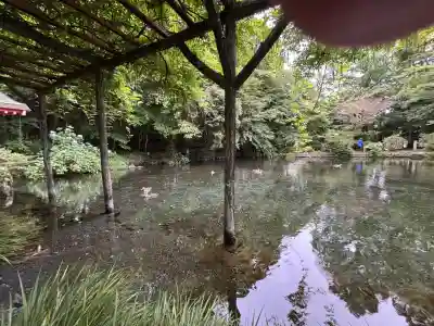 富士山本宮浅間大社(静岡県)