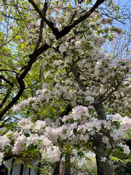 蓮華寺(福島県)