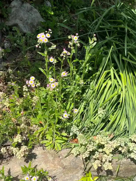 瀧口神社(千葉県)