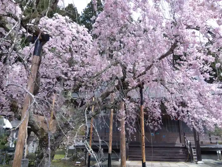 大聖院(京都府)