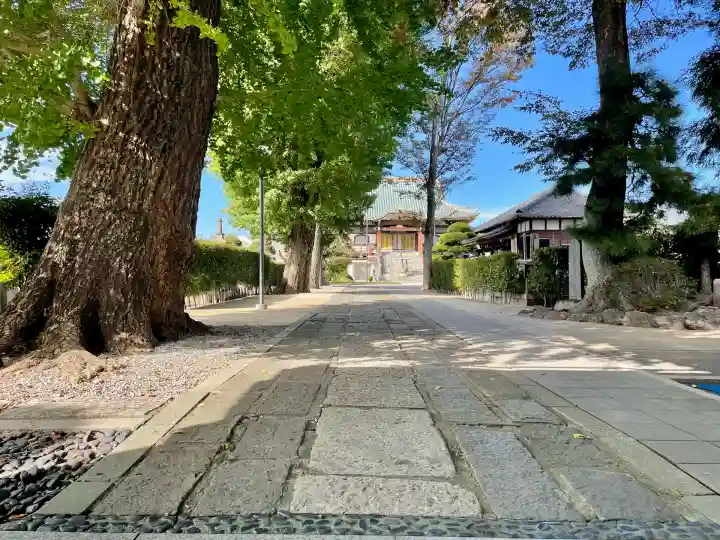 建福寺(埼玉県)