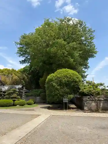 慶元寺(東京都)