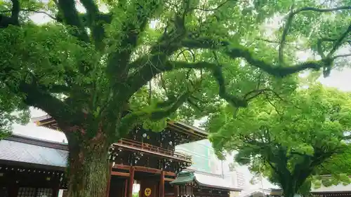 真清田神社の自然