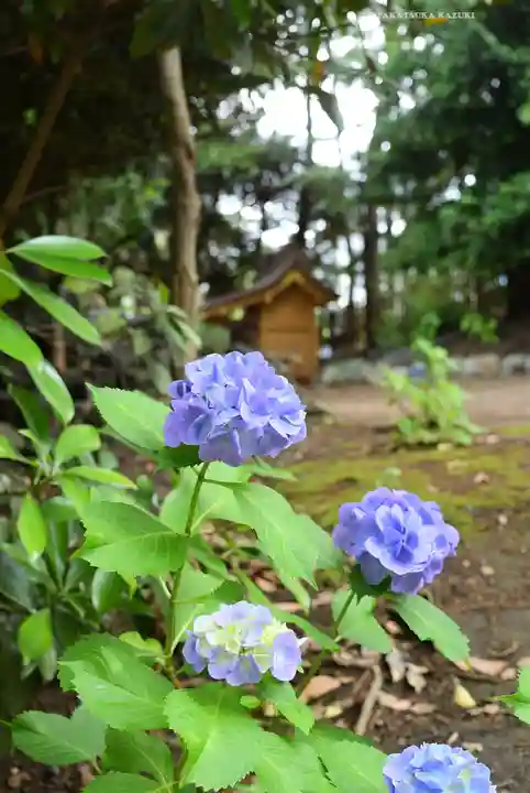 平塚八幡宮(神奈川県)