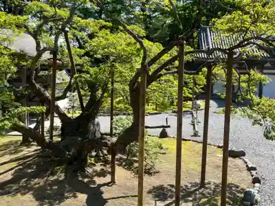 瑞巌寺の自然
