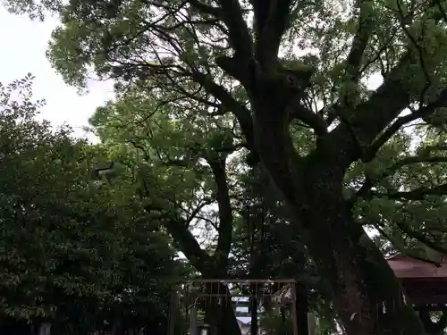 現人神社(福岡県)