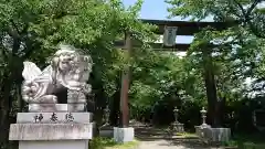 冨士御室浅間神社の狛犬