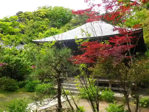 浄光明寺の庭園