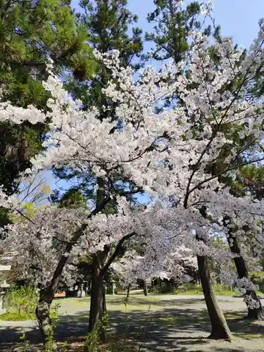長浜八幡宮(滋賀県)