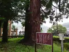 足助八幡宮の自然