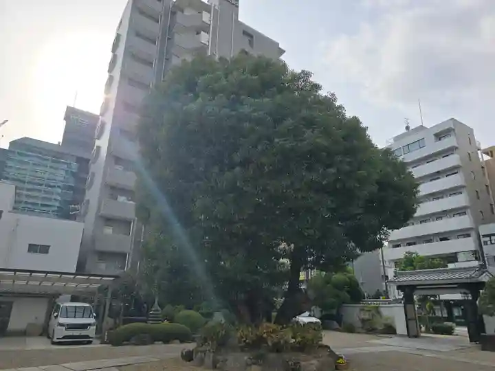 正祐寺(大阪府)