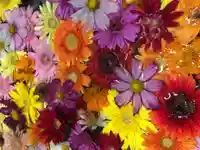 札幌諏訪神社の手水舎