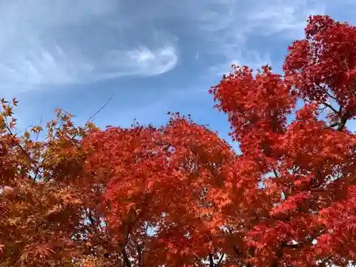 福井神社の自然