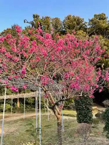 大生郷天満宮の自然