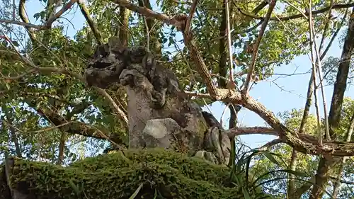 太宰府天満宮の狛犬