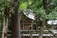 日吉神社(滋賀県)