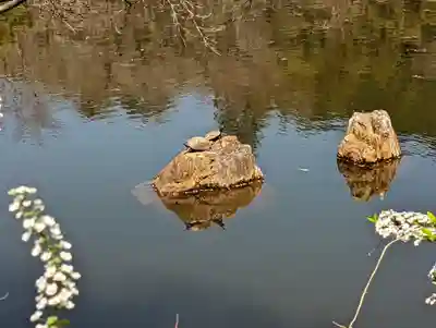 龍安寺(京都府)