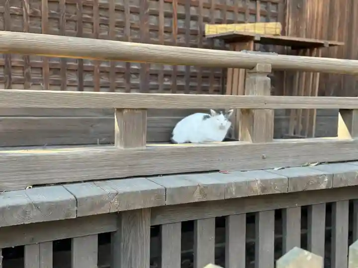 阿邪訶根神社(福島県)