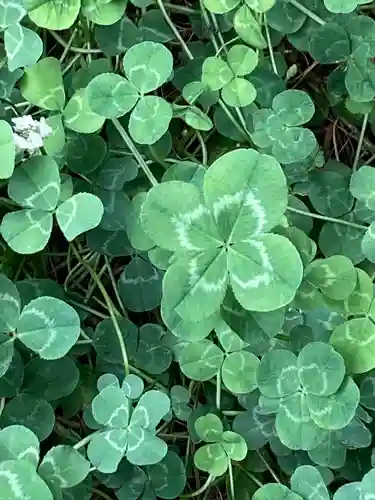 日光二荒山神社(栃木県)
