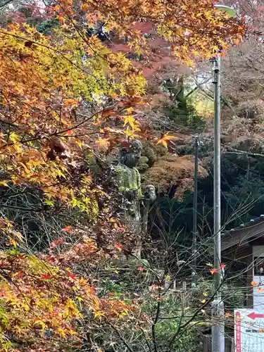 鰐淵寺(島根県)