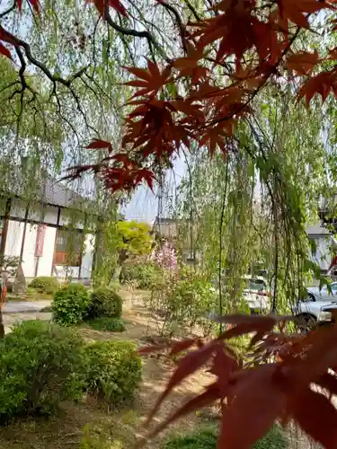 本満寺（本願満足寺）のその他建物