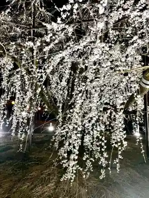 八幡社の{uncategorized: "未分類", other: "その他", undefined: "問題あり", building: "その他建物", grave: "お墓", sacred_gate: "鳥居", guardian: "狛犬", statue: "像", buddha: "仏像", history: "歴史", nature: "自然", garden: "庭園", animal: "動物", pagoda: "塔", temizu: "手水舎", mountain_gate: "山門・神門", sanctuary: "本殿・本堂", subordinate: "末社・摂社", art: "芸術", scenery: "景色", jizo: "地蔵", ema: "絵馬", goshuin: "御朱印", omikuji: "おみくじ", items: "授与品その他", amulet: "お守り", goshuincho: "御朱印帳", eats: "食事", festival: "お祭り", votive_dance: "神楽", shichigosan: "七五三参", wedding: "結婚式", experience: "体験その他", initially: "初詣", around: "周辺", anti_infection: "感染症対策"}
