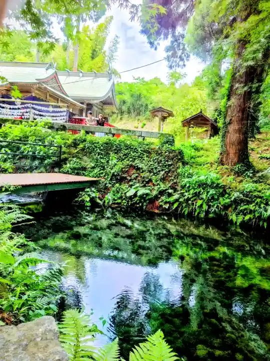 白川吉見神社(熊本県)