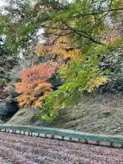 明月院(神奈川県)