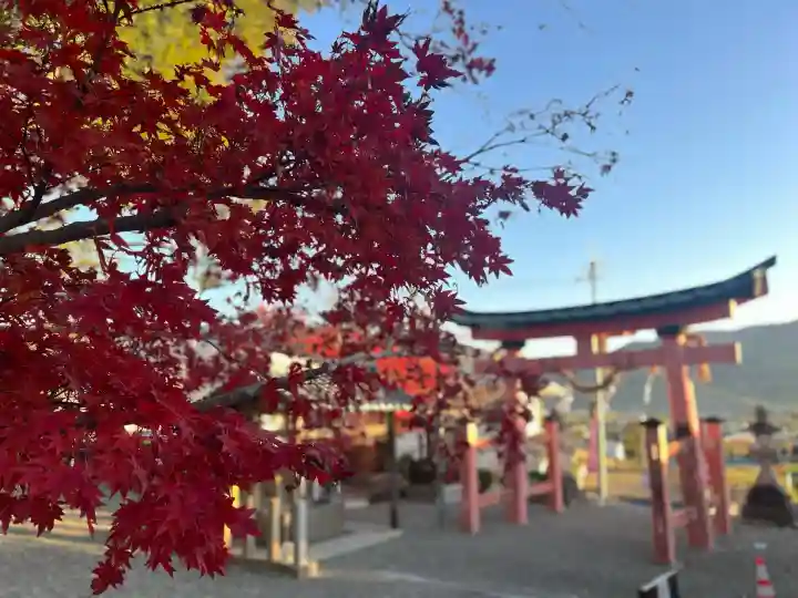 宝来山神社(和歌山県)